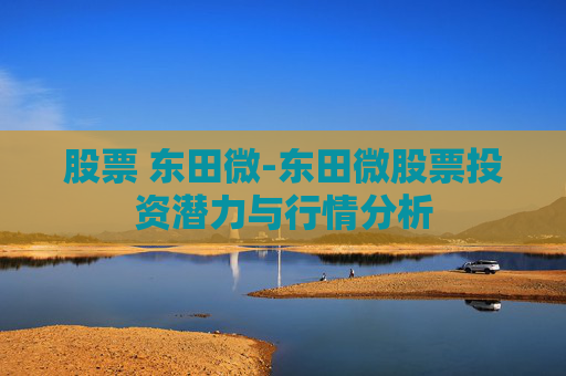 股票 东田微-东田微股票投资潜力与行情分析
