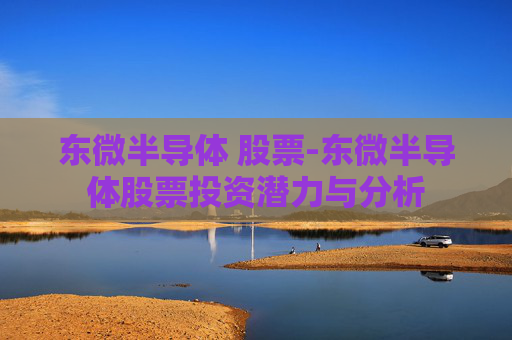 东微半导体 股票-东微半导体股票投资潜力与分析