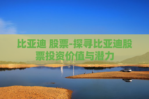 比亚迪 股票-探寻比亚迪股票投资价值与潜力
