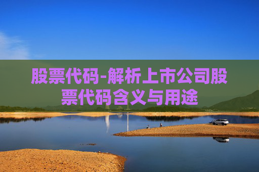 股票代码-解析上市公司股票代码含义与用途