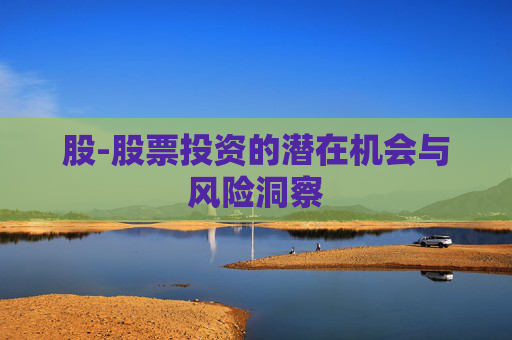 股-股票投资的潜在机会与风险洞察