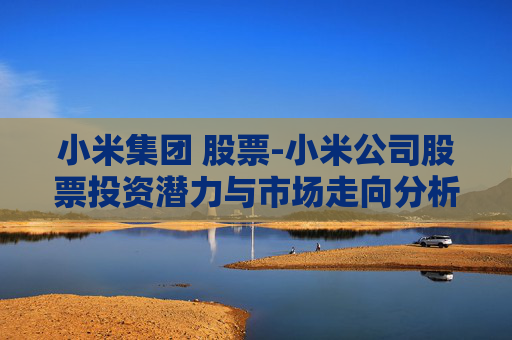 小米集团 股票-小米公司股票投资潜力与市场走向分析