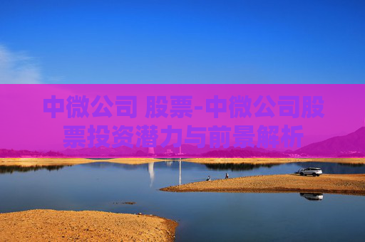 中微公司 股票-中微公司股票投资潜力与前景解析