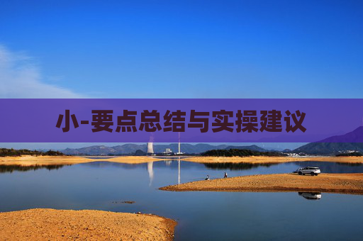 小-要点总结与实操建议