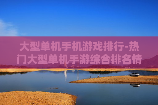 大型单机手机游戏排行-热门大型单机手游综合排名情况