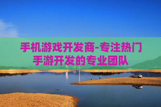 手机游戏开发商-专注热门手游开发的专业团队