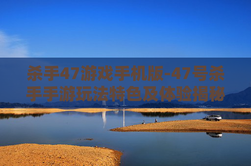 杀手47游戏手机版-47号杀手手游玩法特色及体验揭秘