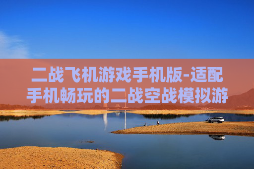 二战飞机游戏手机版-适配手机畅玩的二战空战模拟游戏