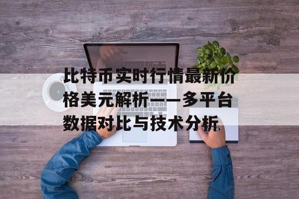 比特币实时行情最新价格美元解析——多平台数据对比与技术分析